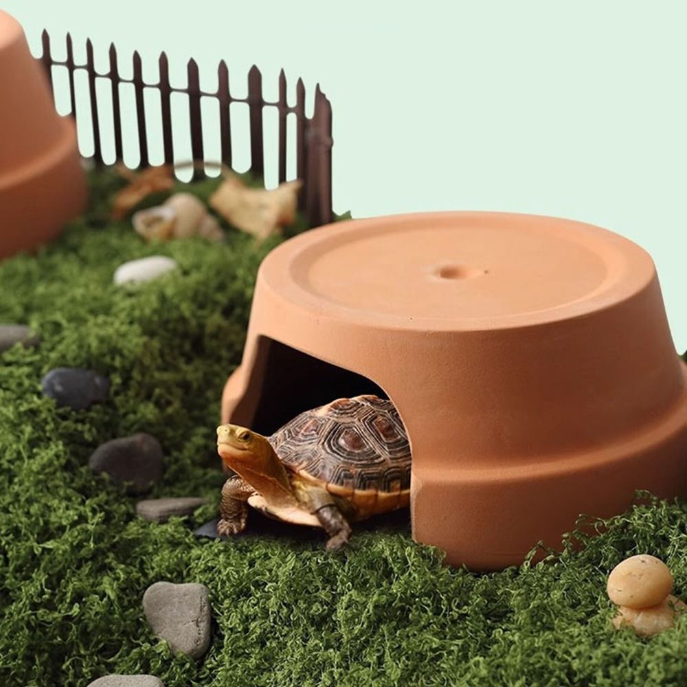 Multifunctional Ceramics Repti - Hide Cave Ceramic のレビューと価格