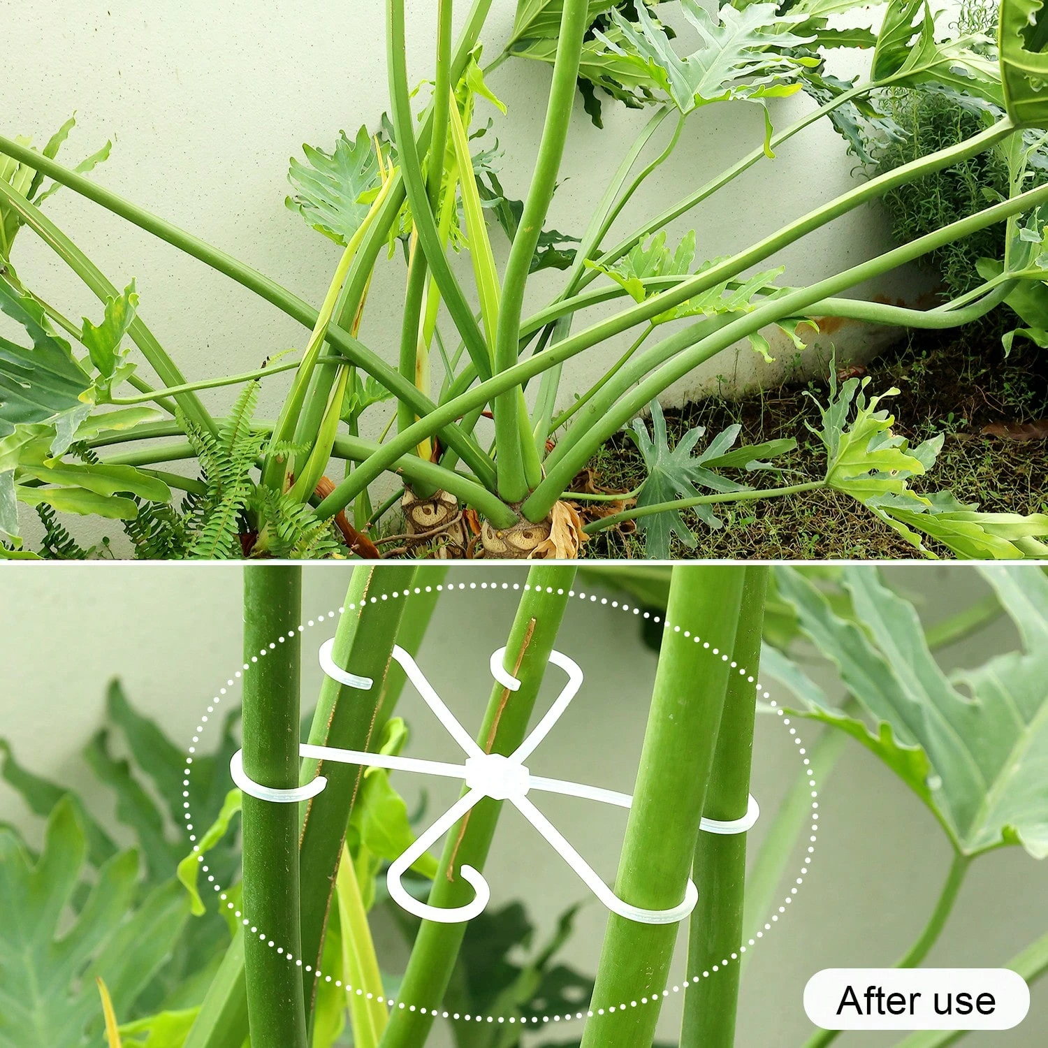 1Pc Plastic Plant Support Clip - Vine Climbing Plastic のレビューと価格