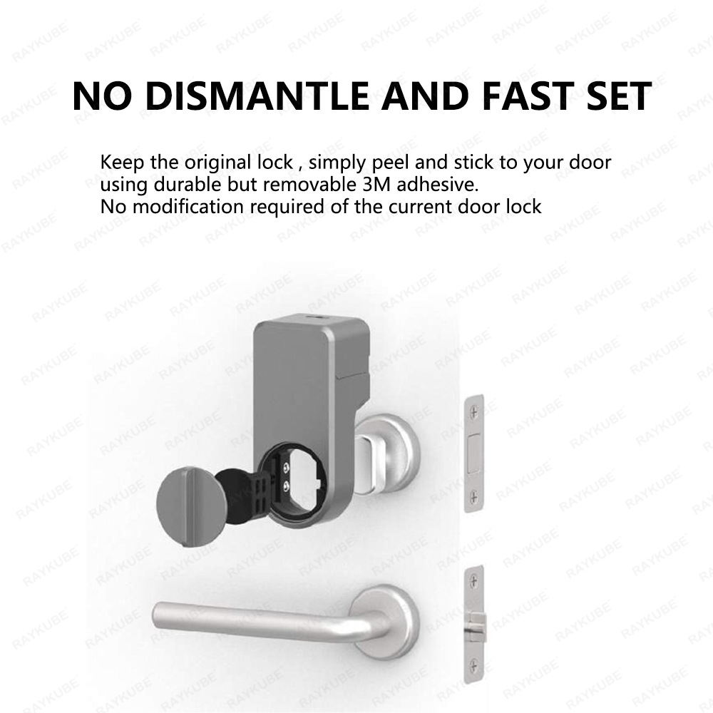 RAYKUBE A1 Pro Tuya BEL Smart  - Glass Door Hinge のレビューと価格