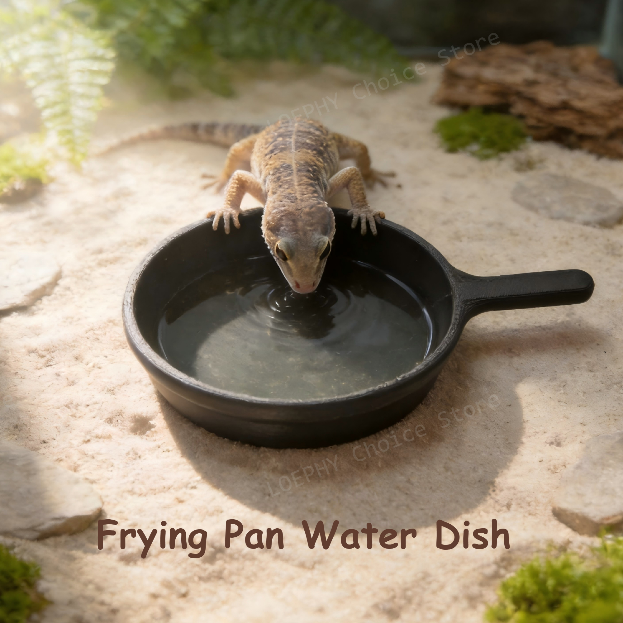 Funny Frying Pan Design Gecko  - Water Dish Reptile のレビューと価格