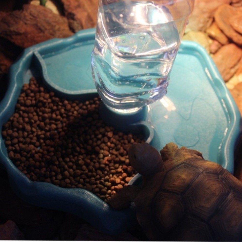 New Removable Reptile Feeder E - Water Dish Reptile のレビューと価格