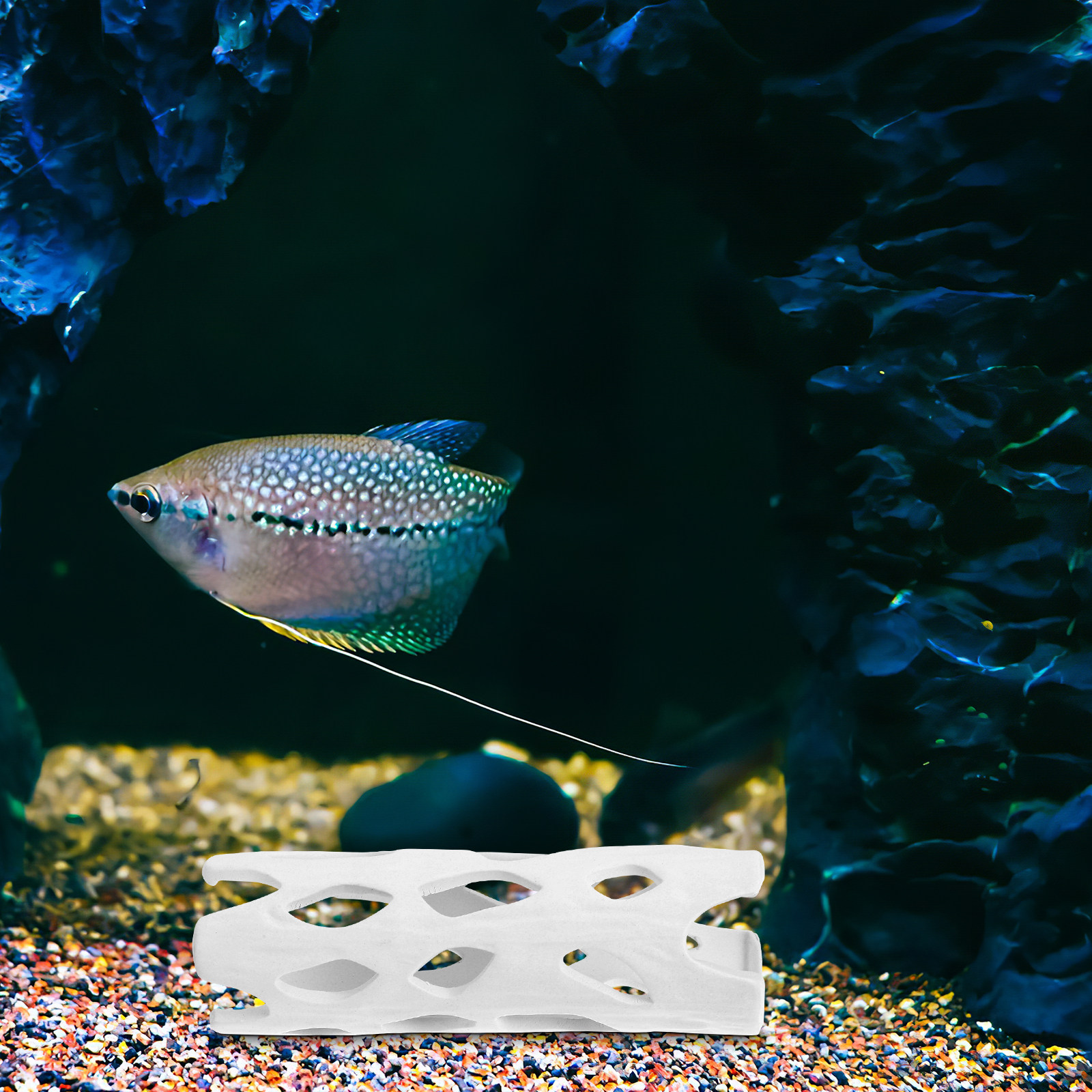 Ceramic Aquarium Decor Shrimp  - Hide Cave Ceramic のレビューと価格