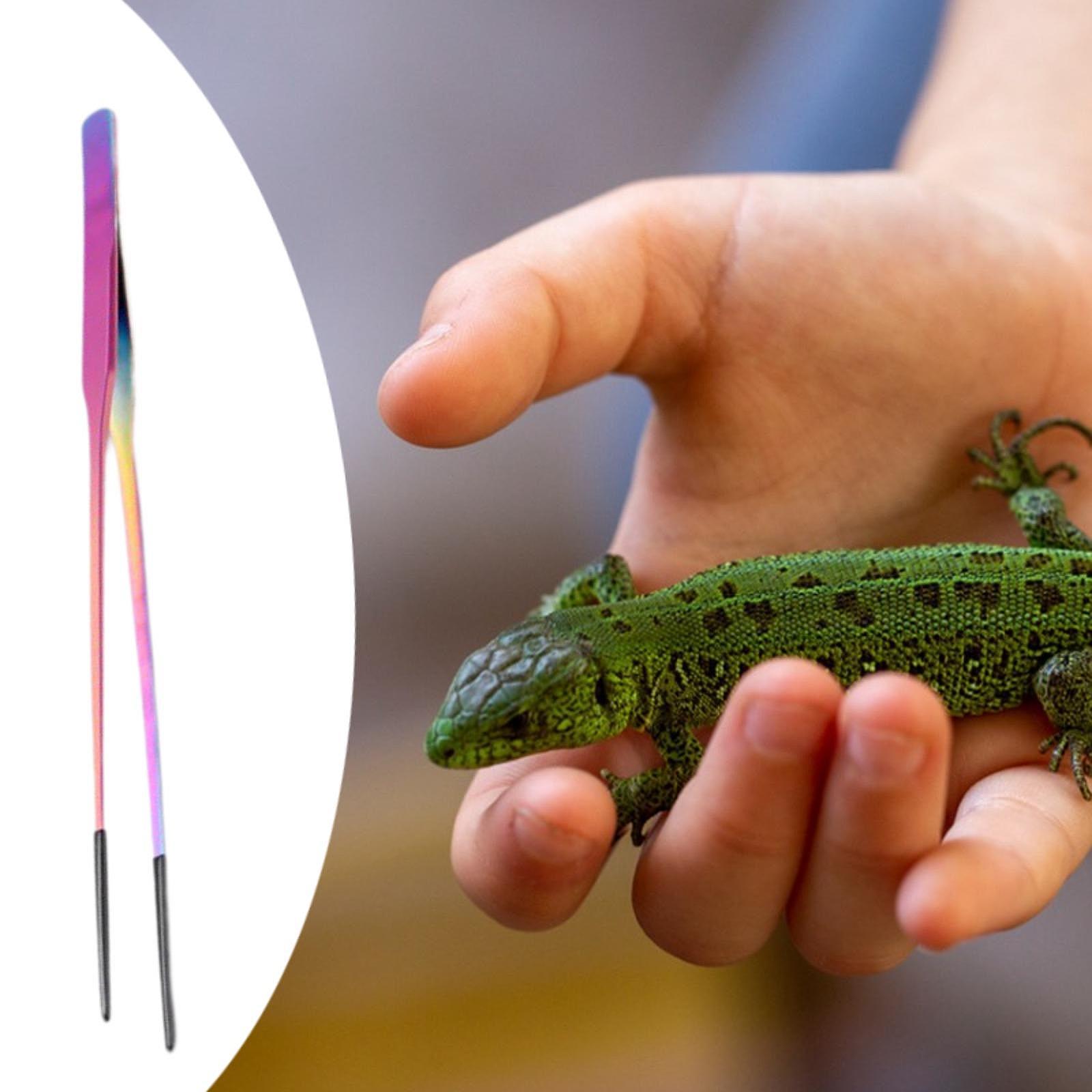 Aquarium Tweezers Reptile Feed - Feeding Tong Stainless のレビューと価格