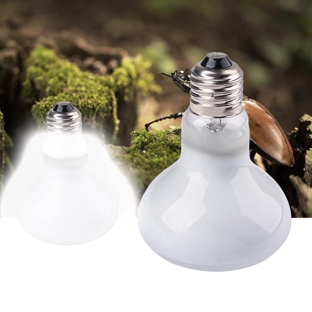 Turtle Heater Heat Lamp Reptil - Basking Bulb Halogen のレビューと価格