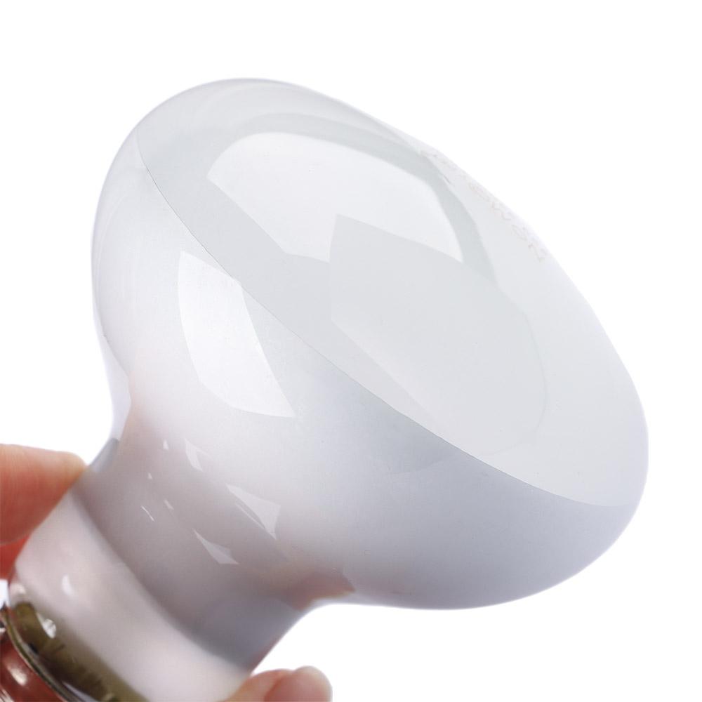 Turtle Heater Heat Lamp Reptil - Basking Bulb Halogen のレビューと価格