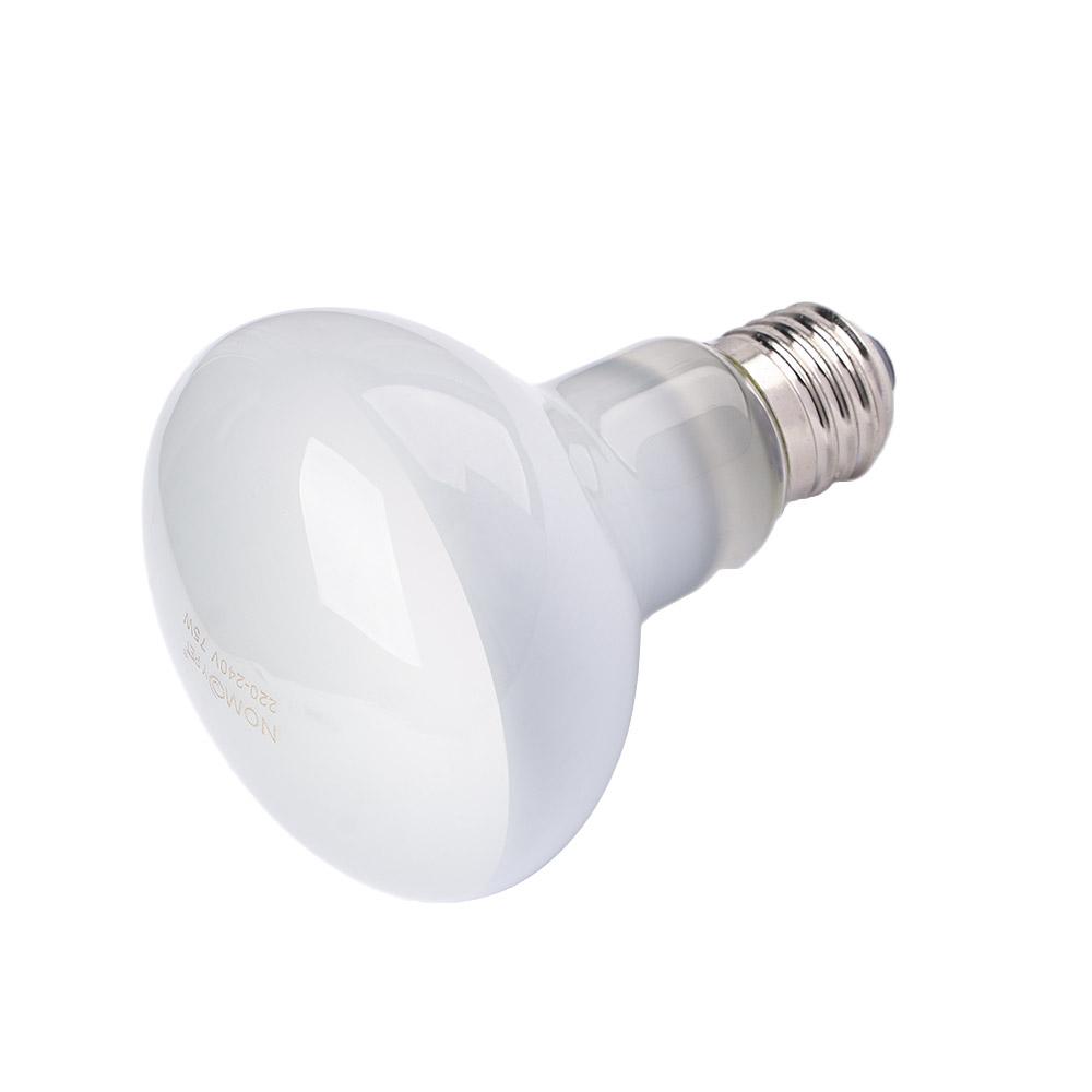 Turtle Heater Heat Lamp Reptil - Basking Bulb Halogen のレビューと価格