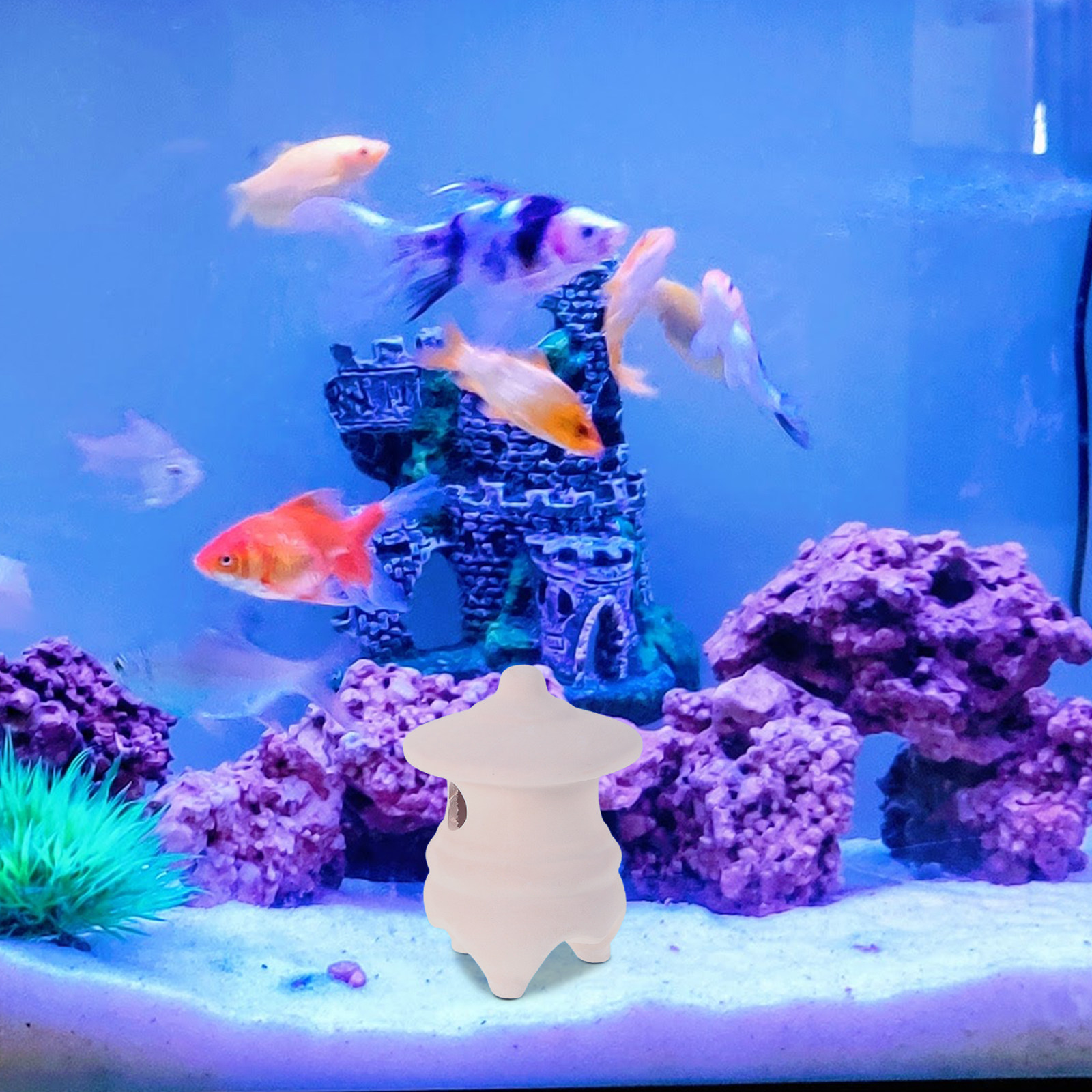 2Pcs Ceramic Aquarium Hide Fis - Hide Cave Ceramic のレビューと価格