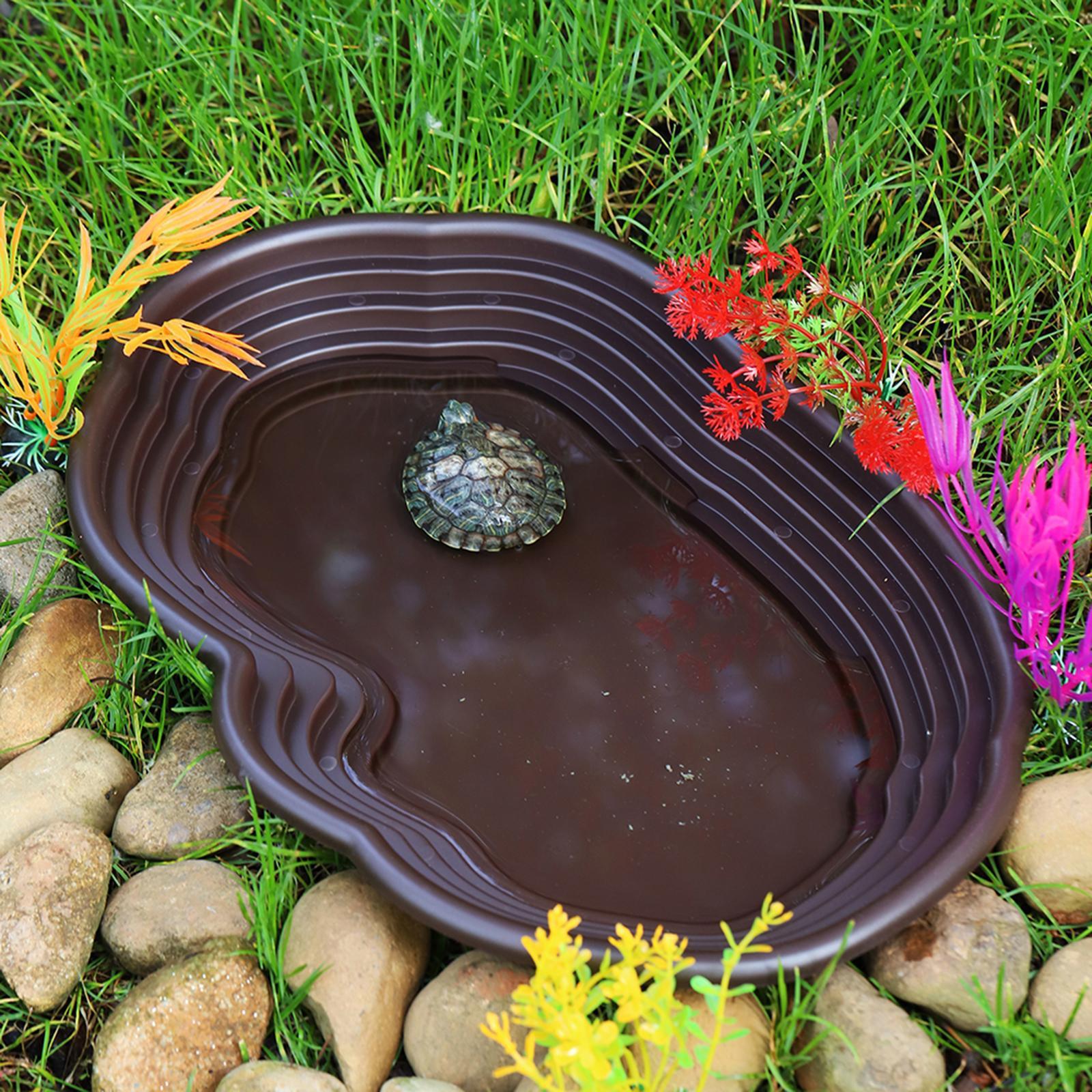 Reptile Bathing Dish Tortoise  - Water Dish Reptile のレビューと価格
