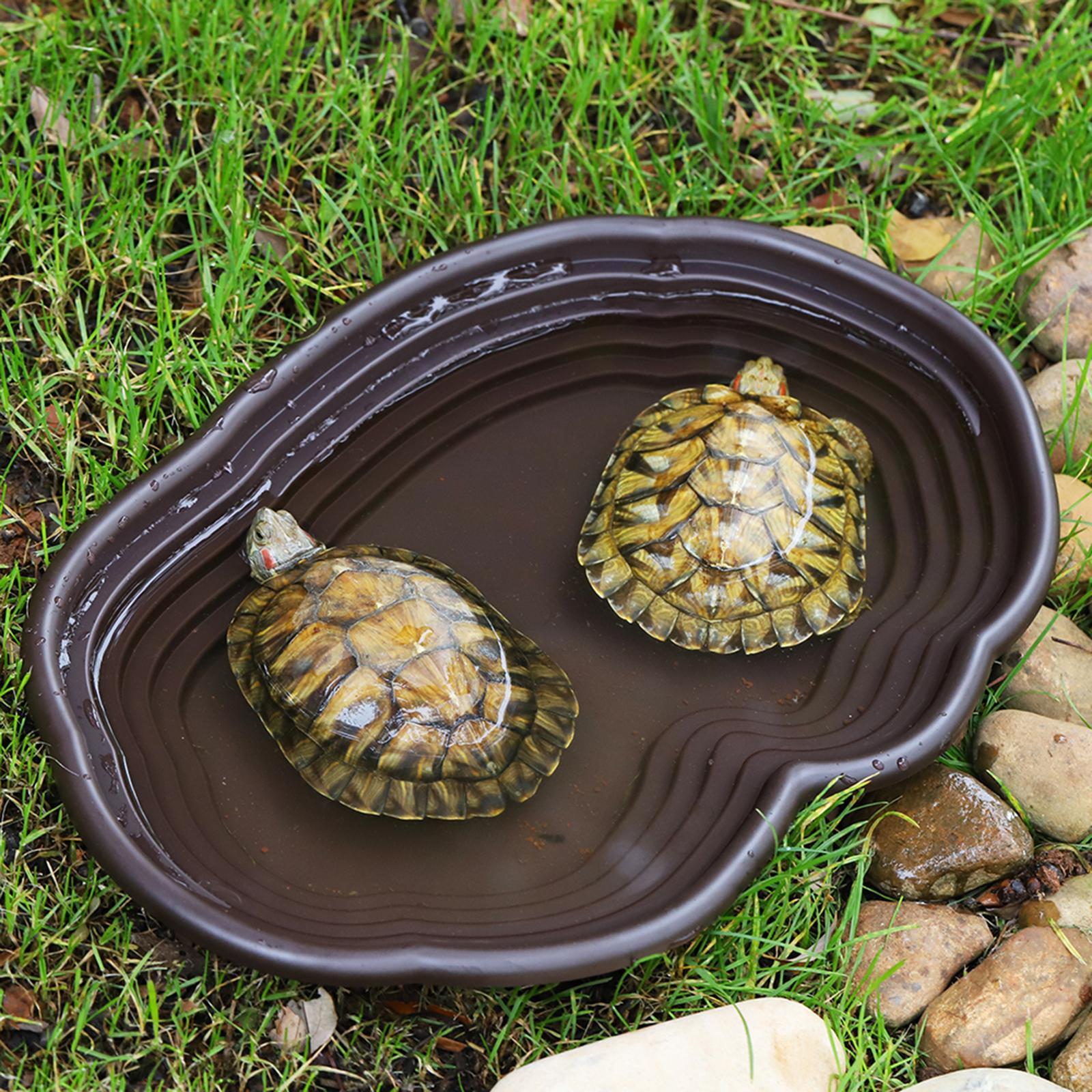 Reptile Bathing Dish Tortoise  - Water Dish Reptile のレビューと価格