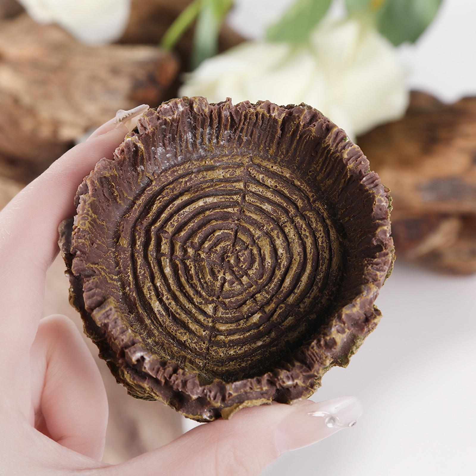 Reptile Bathing Dish Tortoise  - Water Dish Reptile のレビューと価格