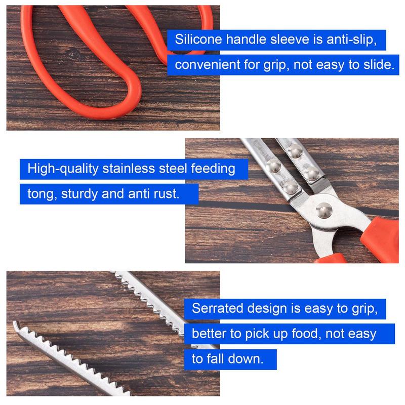 Stainless Steel Reptile Feeder - Feeding Tong Stainless のレビューと価格