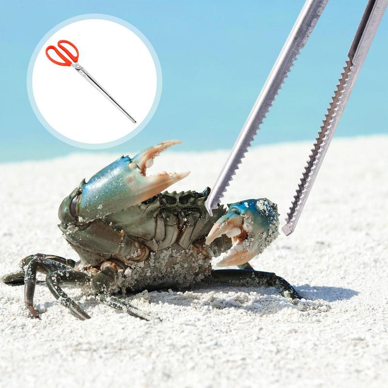 Stainless Steel Reptile Feeder - Feeding Tong Stainless のレビューと価格