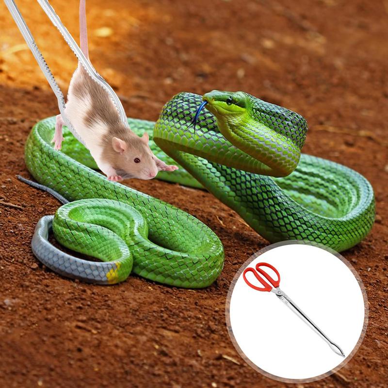 Stainless Steel Reptile Feeder - Feeding Tong Stainless のレビューと価格