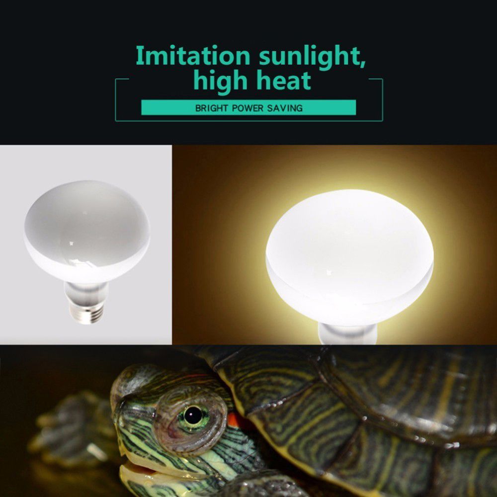 Turtle Heater Temperature Cont - Basking Bulb Halogen のレビューと価格