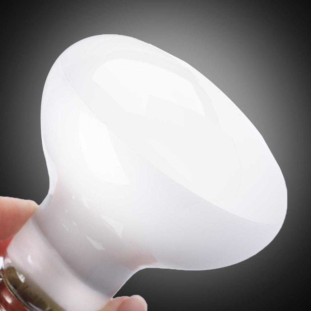 Turtle Heater Temperature Cont - Basking Bulb Halogen のレビューと価格