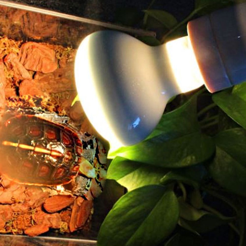 Turtle Heater Temperature Cont - Basking Bulb Halogen のレビューと価格