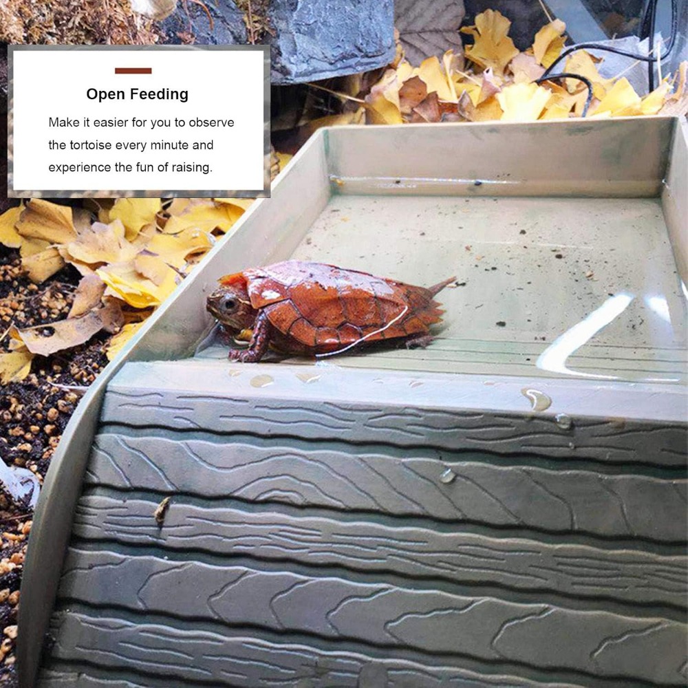 Turtle Bathing Pool Feeding Di - Water Dish Reptile のレビューと価格