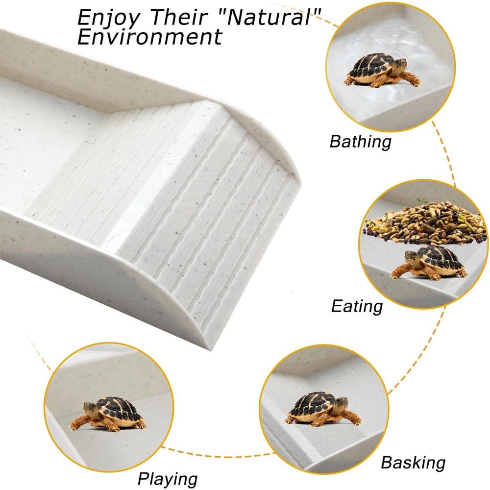 Turtle Bathing Pool Feeding Di - Water Dish Reptile のレビューと価格