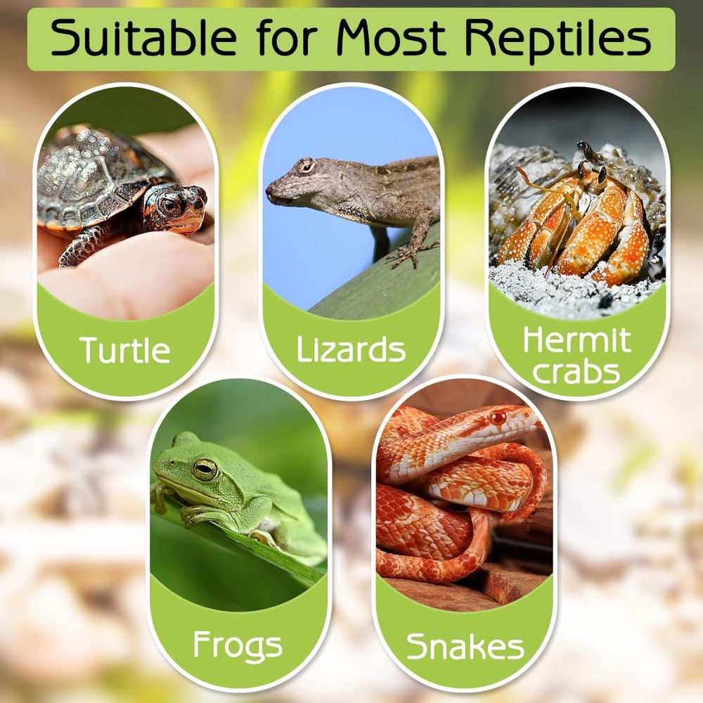 Turtle Bathing Pool Feeding Di - Water Dish Reptile のレビューと価格