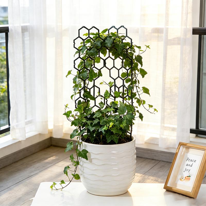 1/5Pcs Honeycomb Design Plant  - Vine Climbing Plastic のレビューと価格