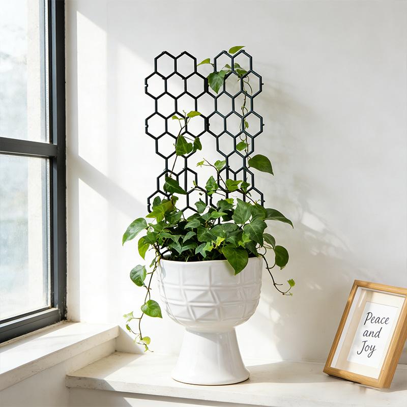 1/5Pcs Honeycomb Design Plant  - Vine Climbing Plastic のレビューと価格