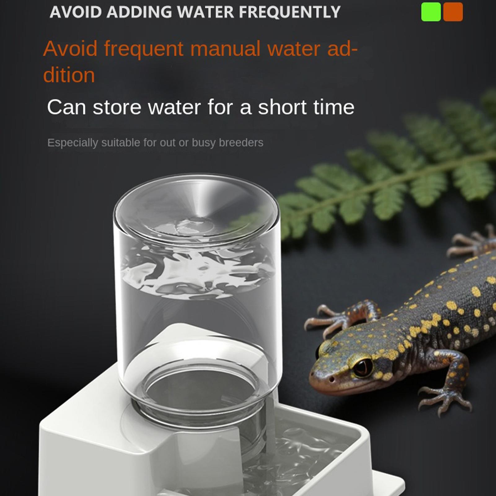 Bearded Dragon Water Fountain  - Water Dish Reptile のレビューと価格