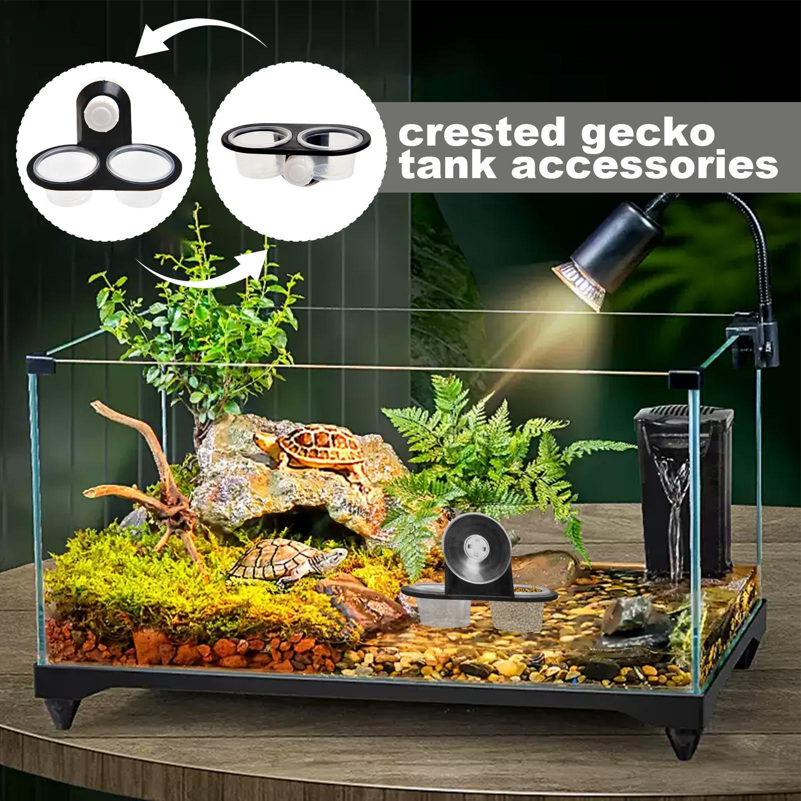 Gecko Feeder Ledge with Detach - Water Dish Reptile のレビューと価格