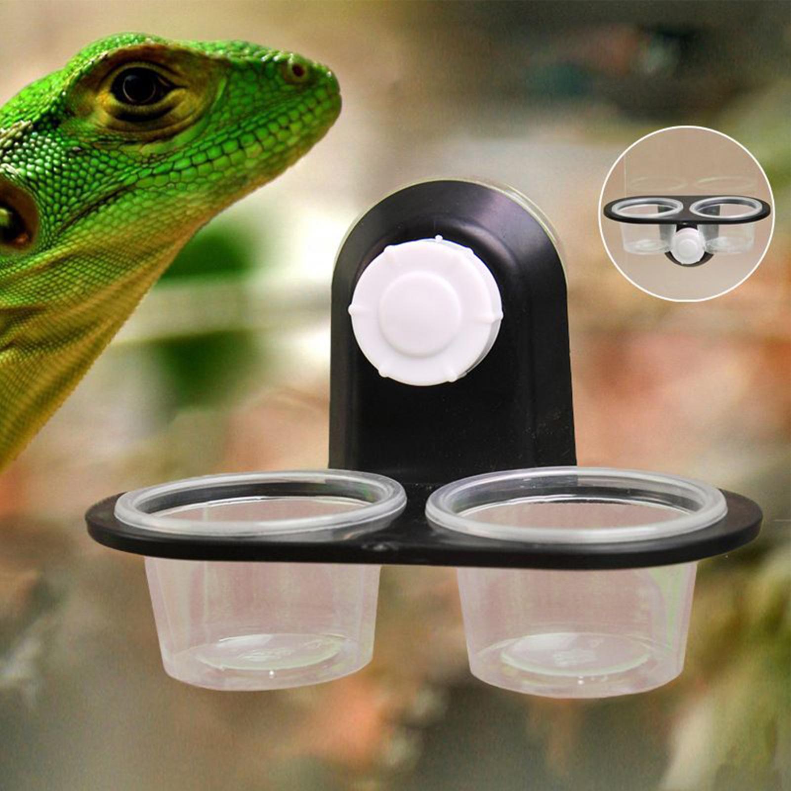 Gecko Feeder Ledge with Detach - Water Dish Reptile のレビューと価格