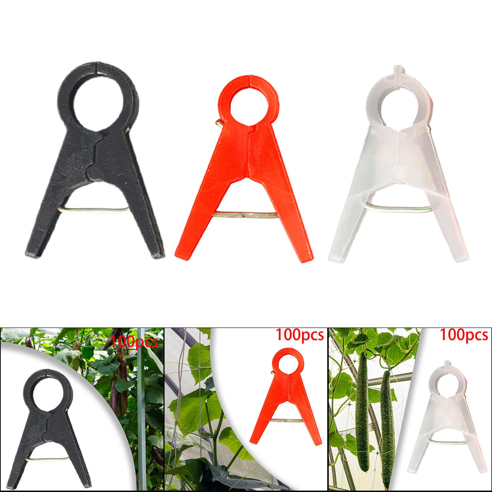 100Pcs Garden Plant Support Cl - Vine Climbing Plastic のレビューと価格