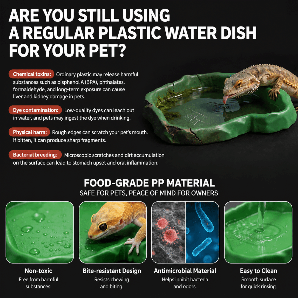 ABS Resin Reptile Feeder Bowl  - Water Dish Reptile のレビューと価格