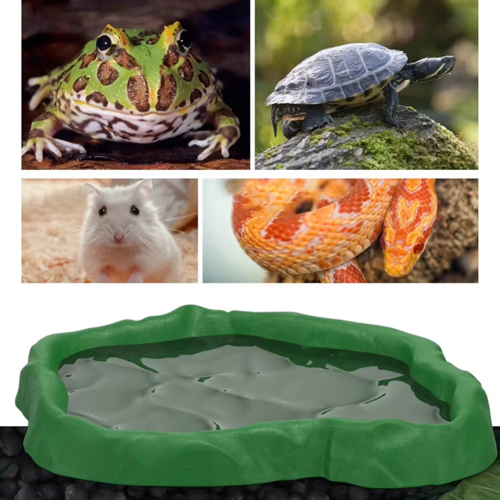 ABS Resin Reptile Feeder Bowl  - Water Dish Reptile のレビューと価格