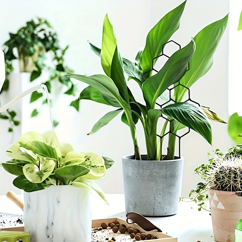 1PC Honeycomb Design Plant Tre - Vine Climbing Plastic のレビューと価格
