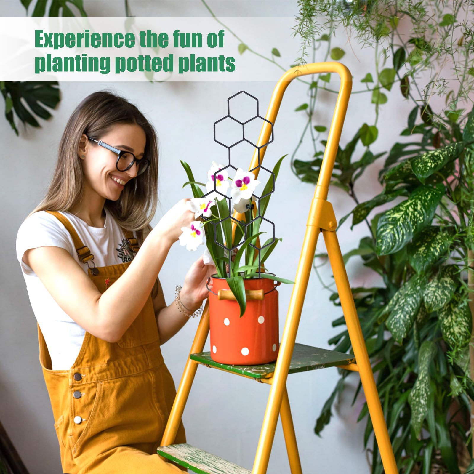 1PC Honeycomb Design Plant Tre - Vine Climbing Plastic のレビューと価格