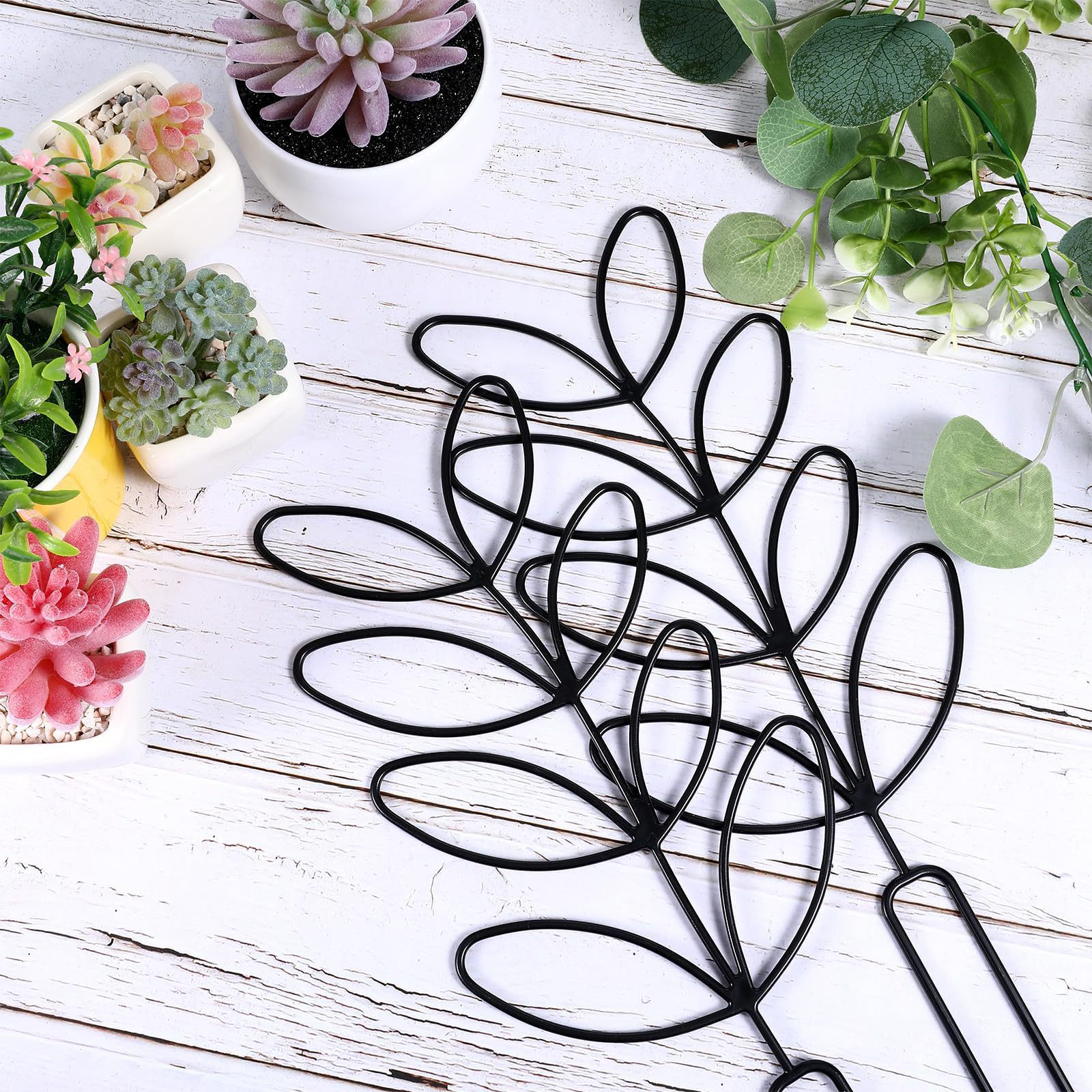1PC Honeycomb Design Plant Tre - Vine Climbing Plastic のレビューと価格