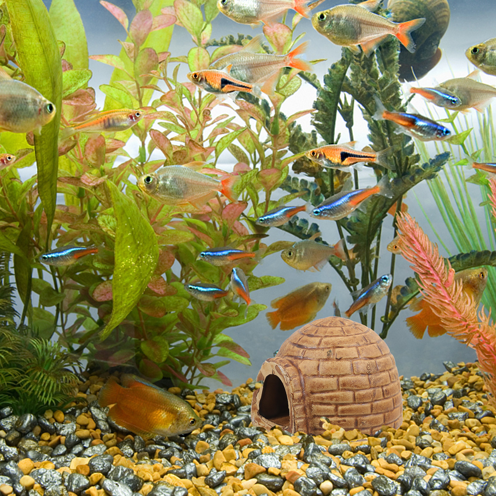 Ceramic Pleco Caves for Aquari - Hide Cave Ceramic のレビューと価格