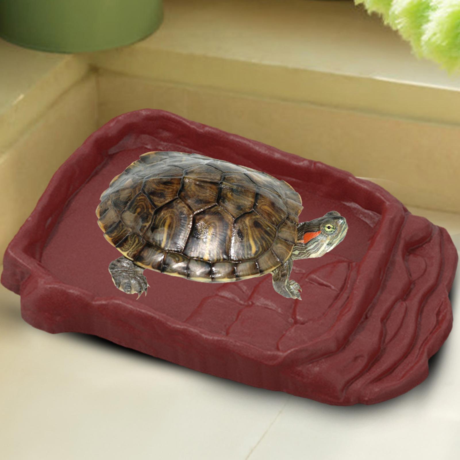 Anti-Slip Ladders Reptile Bowl - Water Dish Reptile のレビューと価格