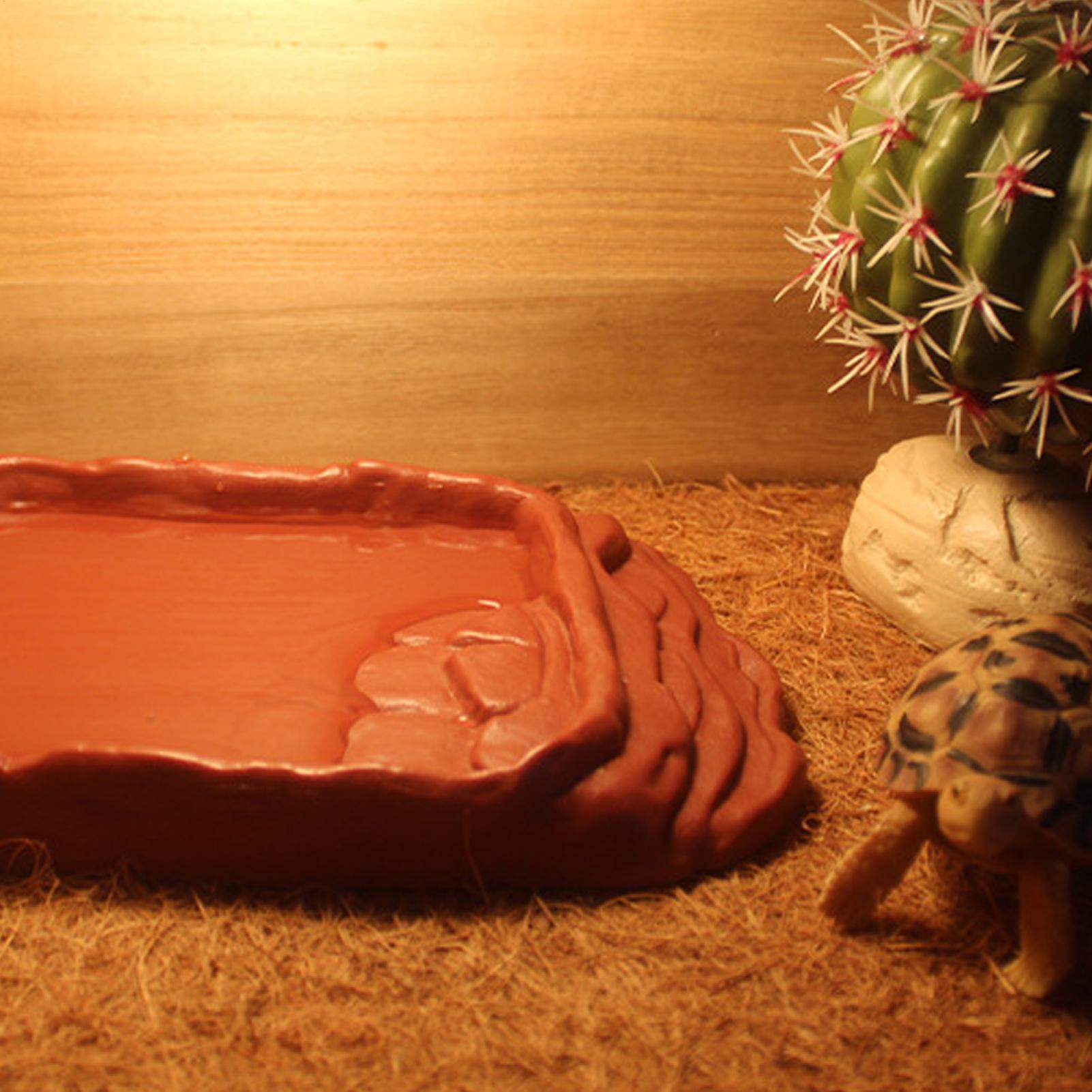 Anti-Slip Ladders Reptile Bowl - Water Dish Reptile のレビューと価格
